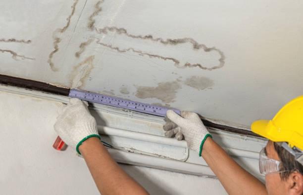 Affordable Ceiling Water Damage Repair solutions in Lake in the Hills, IL